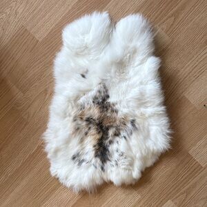 Real rabbit pelt